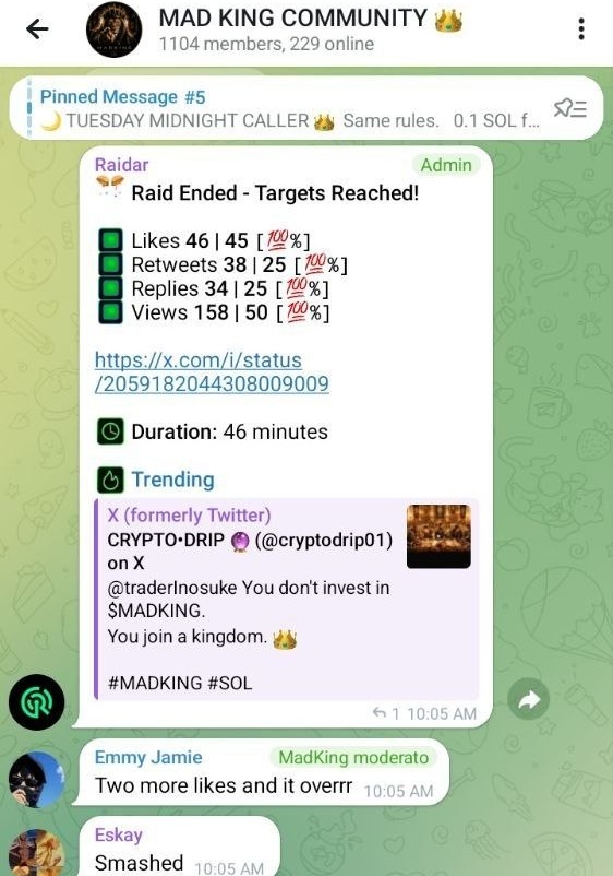 Telegram Raid